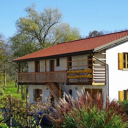 Ecohouse Furlan - Apartment Pinja Kobarid Exterior photo